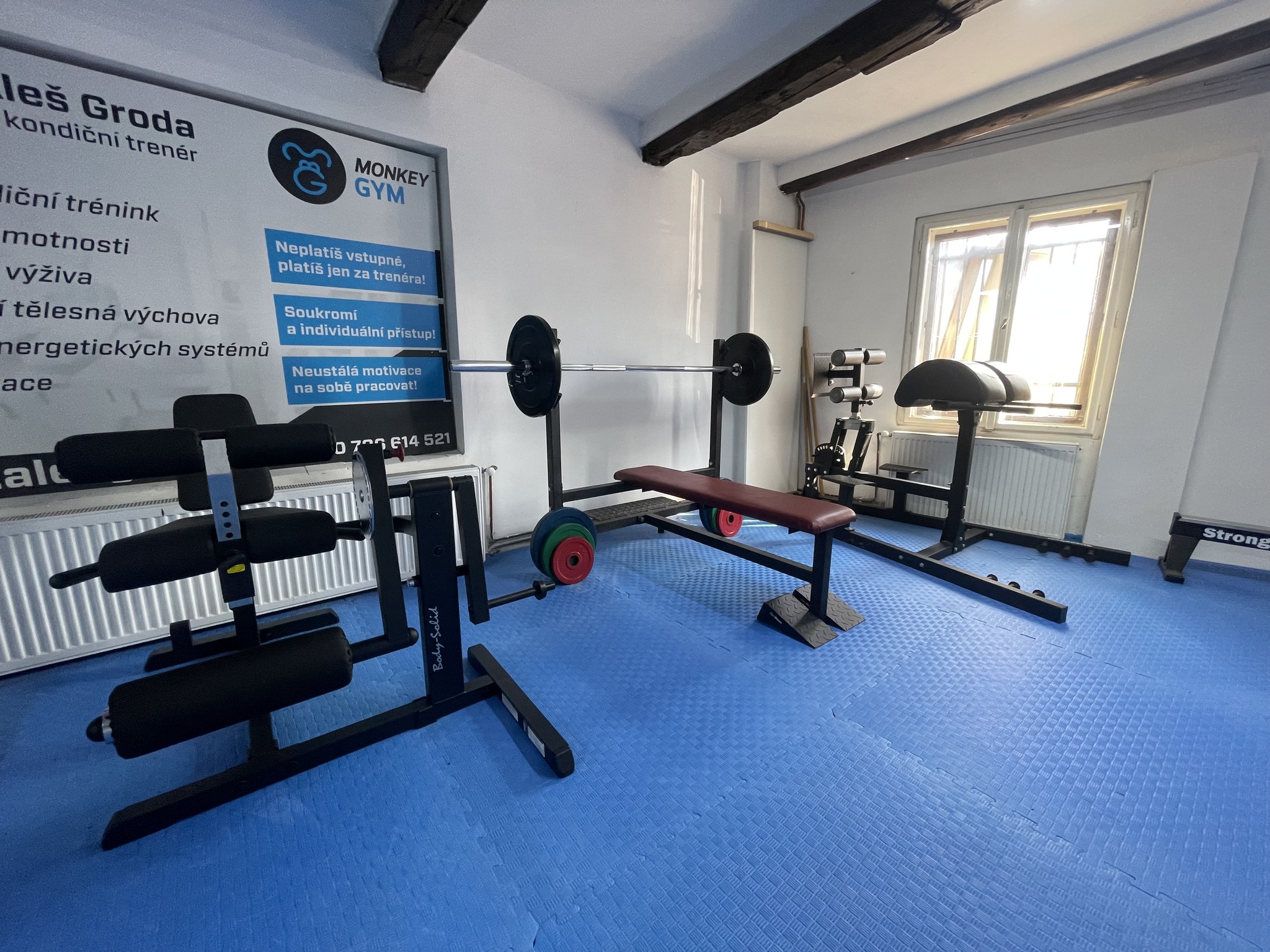 Interiér Monkey Gym