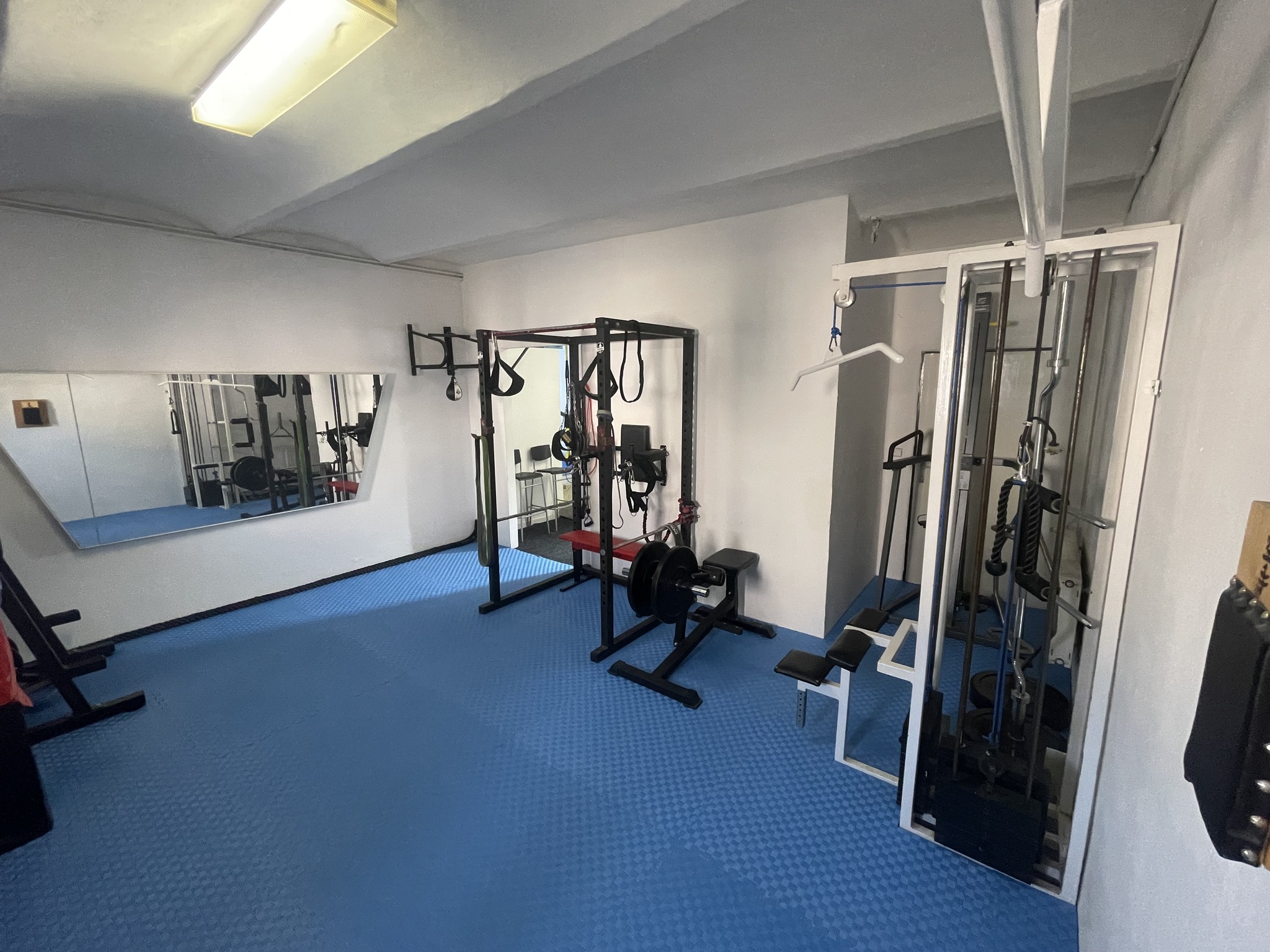 Interiér Monkey Gym