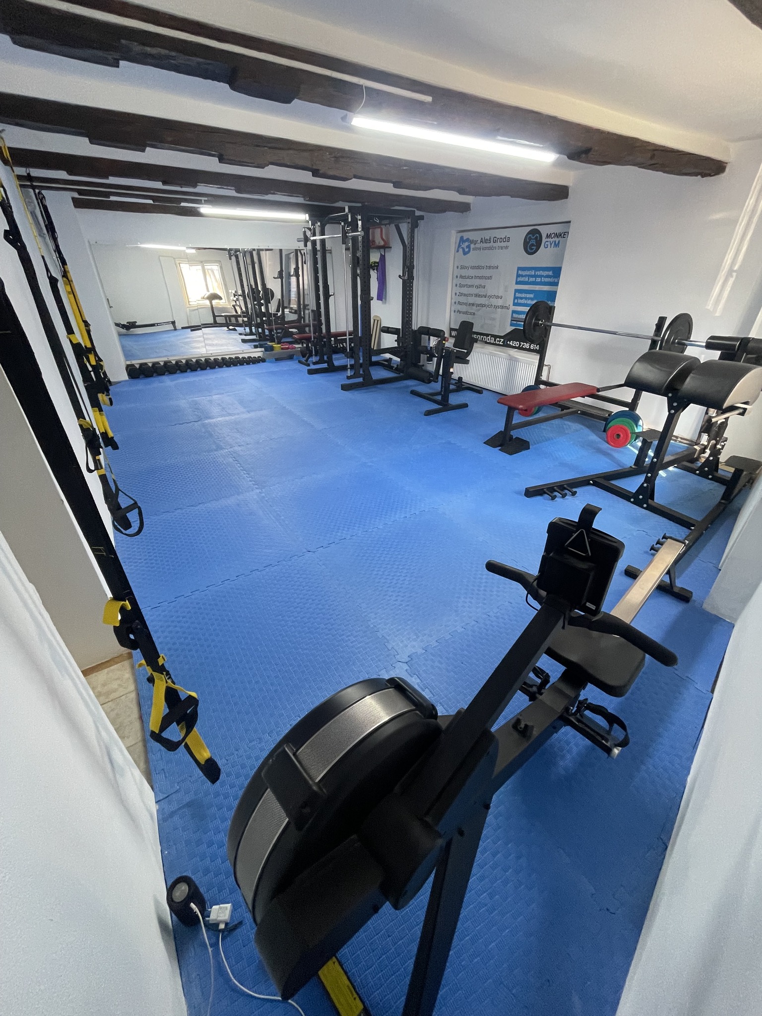 Interiér Monkey Gym